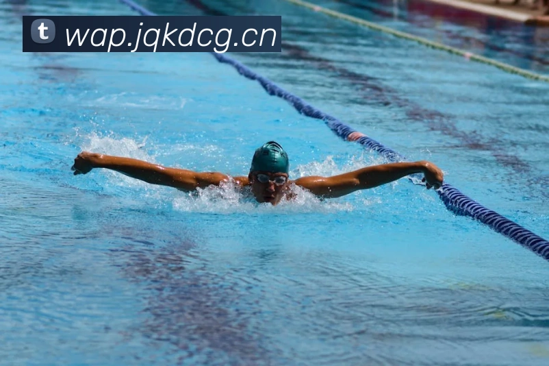 乐鱼官方站网页版登录入口发展历程